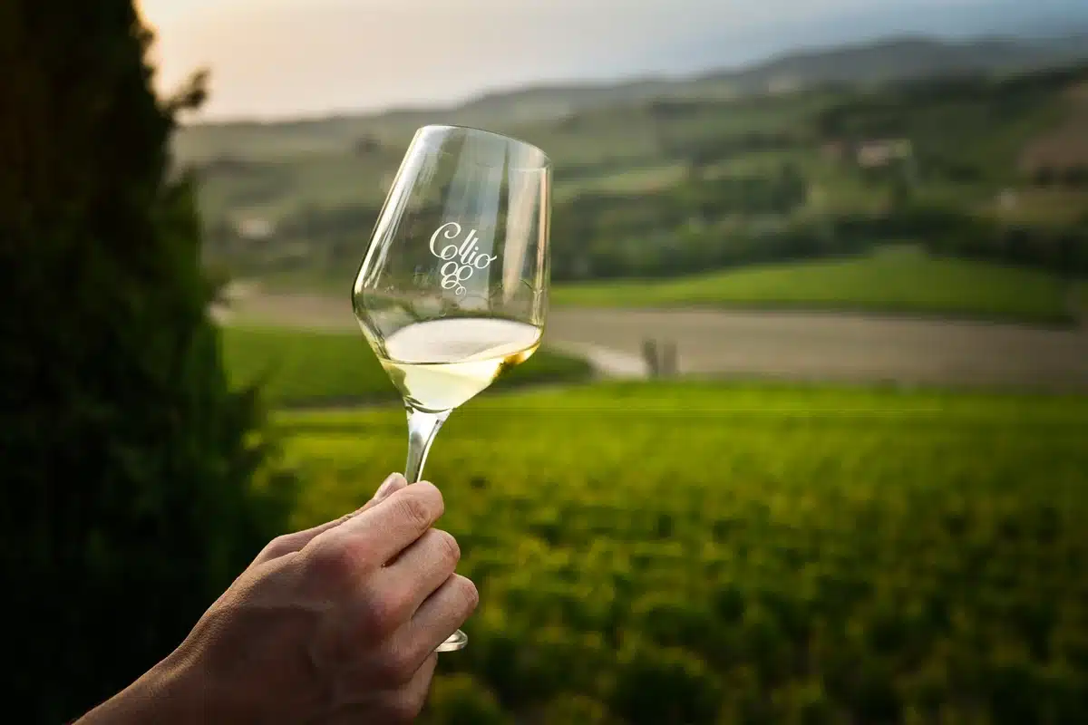 Consorcio de vinos Collio celebra su 60 aniversario con nuevo logo y etiqueta 1 Consorcio de vinos Collio celebra su 60 aniversario con nuevo.webp