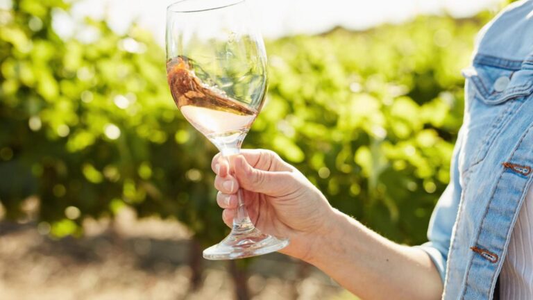 Unzu Rosé: El vino rosado que lidera la nueva ola de popularidad en España 37 Descubre Unzu el vino rosado que revoluciona el verano