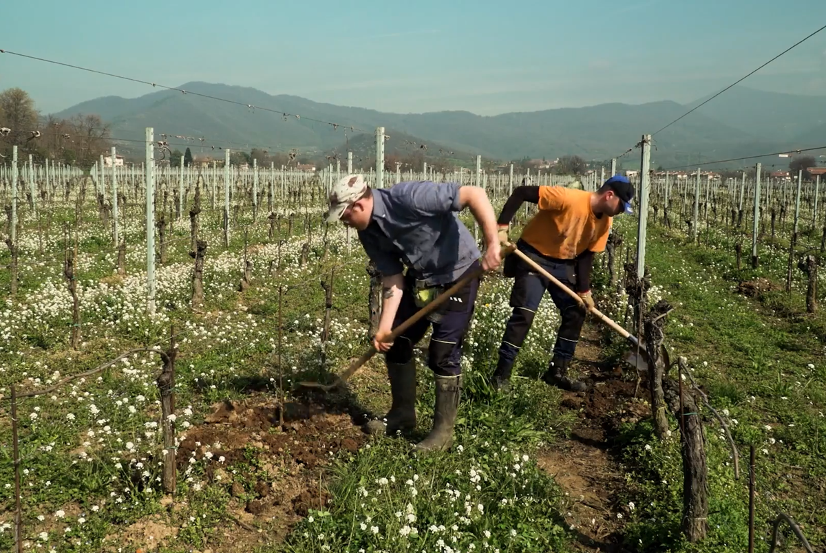 Documental de Franciacorta destaca la contribución de las familias indias a la viticultura italiana 1 Documental de Franciacorta destaca la contribucion de las familias indias