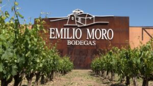 'Emilio Moro' promueve cultura del vino entre jóvenes en Castilla y León 11 Emilio Moro promueve cultura del vino entre jovenes en Castilla