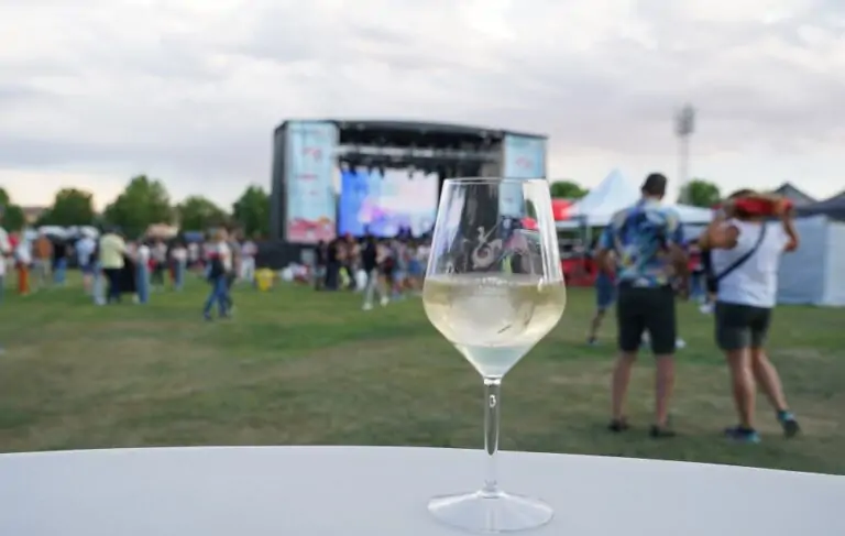 Festial de Alcázar de San Juan celebra su primera edición con gran éxito y vinos DO La Mancha