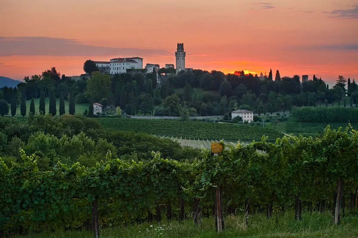 La bodega italiana Conte Collalto, una de las más antiguas del mundo, sigue en activo 1 La bodega italiana Conte Collalto, una de las más antiguas del mundo, sigue en activo