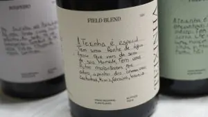 Malhadinha Nova lanza impresionantes vinos desde viñedos en Parque Nacional Sao Mamede