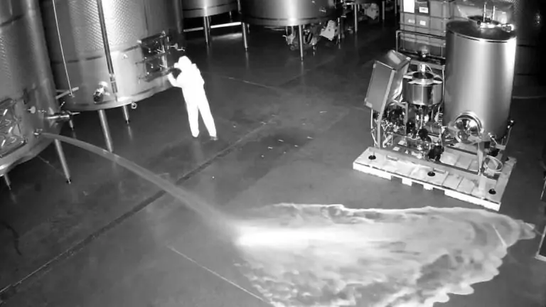 Mujer arrestada por delito en Bodega Cepa 21 en Ribera de Duero provoca pérdidas millonarias