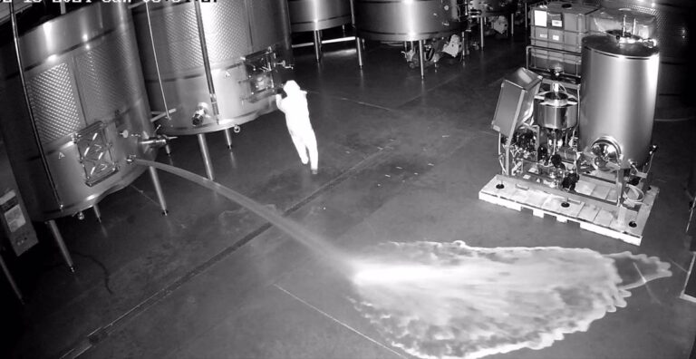 Mujer detenida por sabotaje en Bodegas Cepa 21, no se descartan más arrestos 2 Mujer detenida por sabotaje en Bodegas Cepa 21 no se