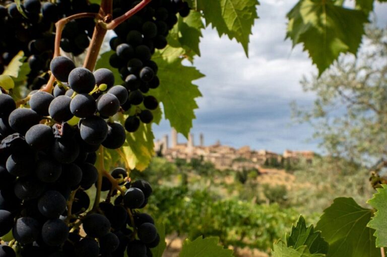 Recomendaciones para el enoturismo italiano diversificar la oferta y extender