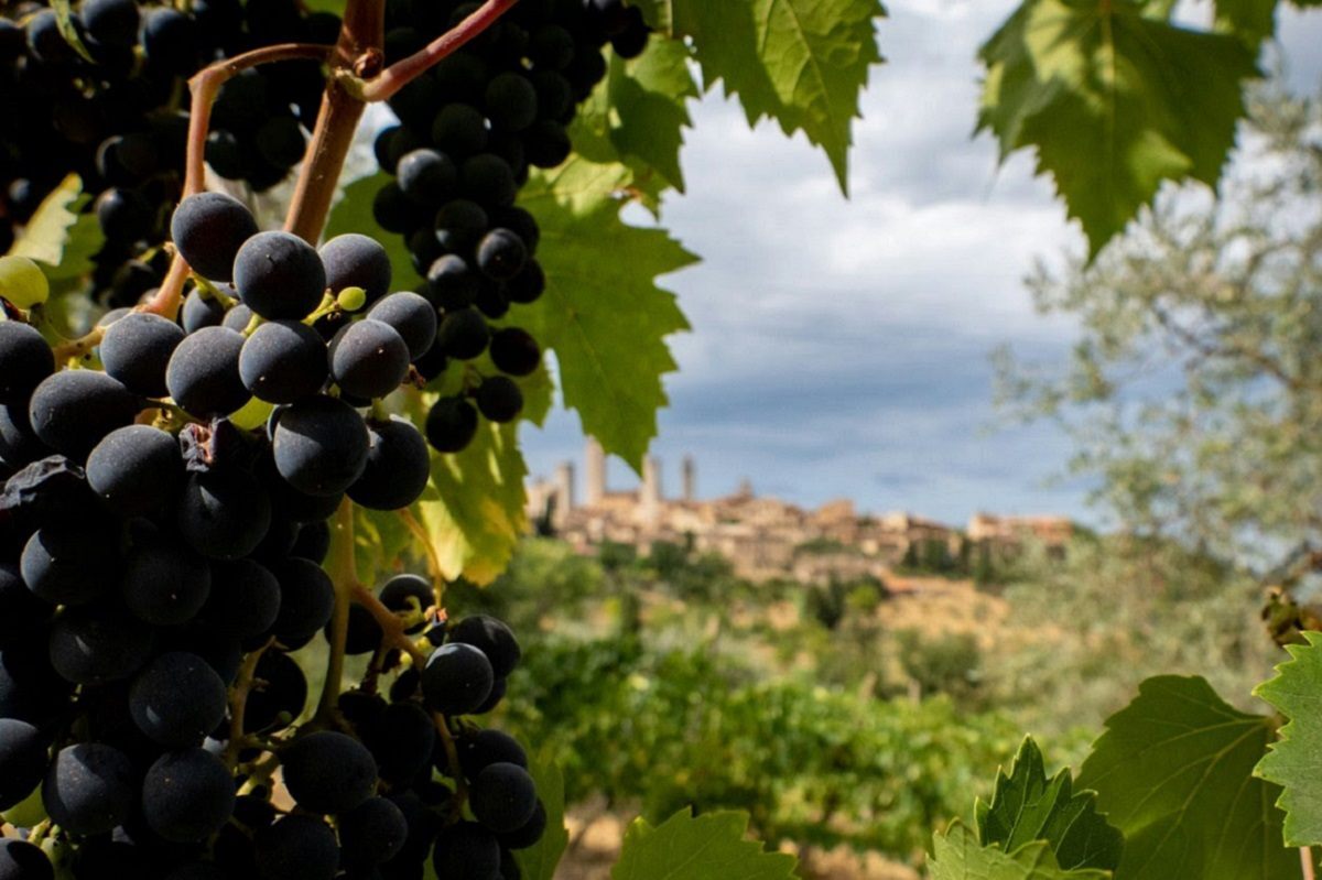 Recomendaciones para el enoturismo italiano: diversificar la oferta y extender la temporada 1 Recomendaciones para el enoturismo italiano diversificar la oferta y