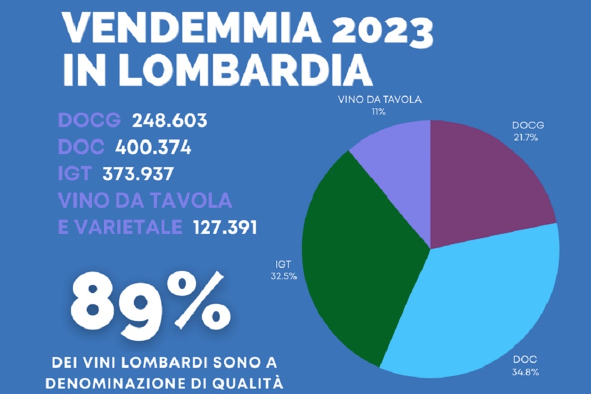 Vinos lombardos baten récord de export en 2023 impulsados por IA y tecnología 1 Vinos lombardos baten record de export en 2023 impulsados por