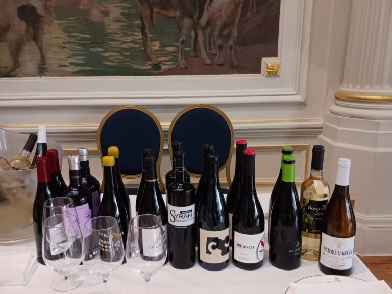 200 vinos españoles, incluyendo de la D.O. Madrid, brillan en evento en Francia 16 200 vinos espanoles incluyendo de la DO Madrid brillan en