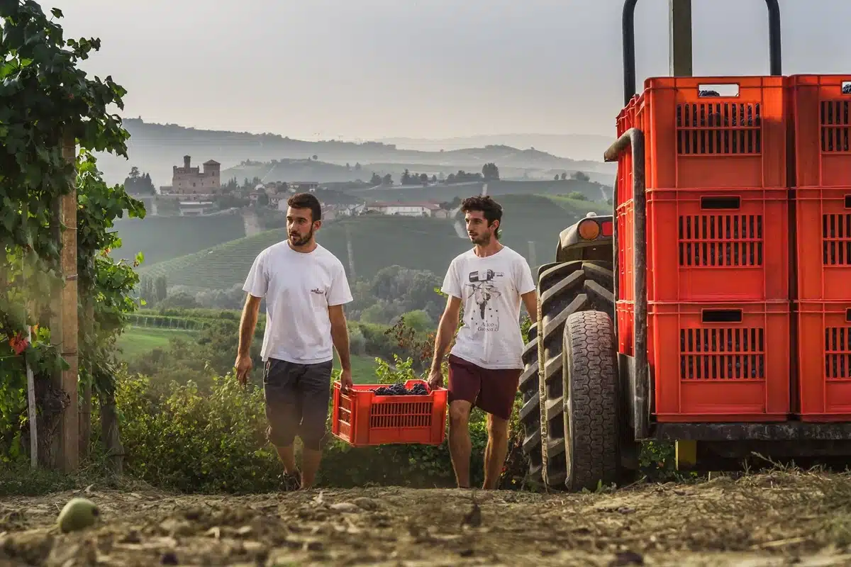Abrigo y Monchiero: Vignaioli en Langa presentan su historia de pasión por el vino 1 Abrigo y Monchiero Vignaioli en Langa presentan su historia de.webp