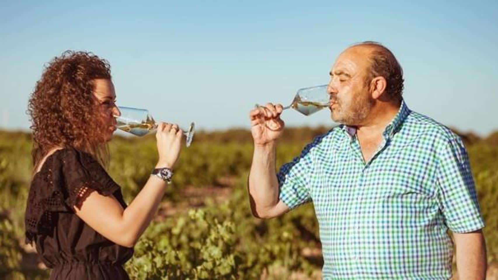 Verdejo: características de las uvas, las cepas y el vino 1 Agotadas las existencias de excelente Verdejo recuperado apenas llegando al