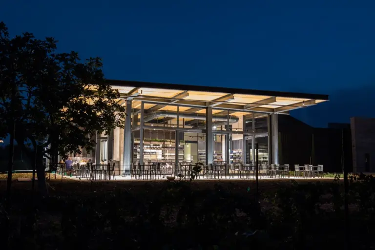 Bodega Enio Ottaviani mezcla tradicion y modernidad en vinos de.webp