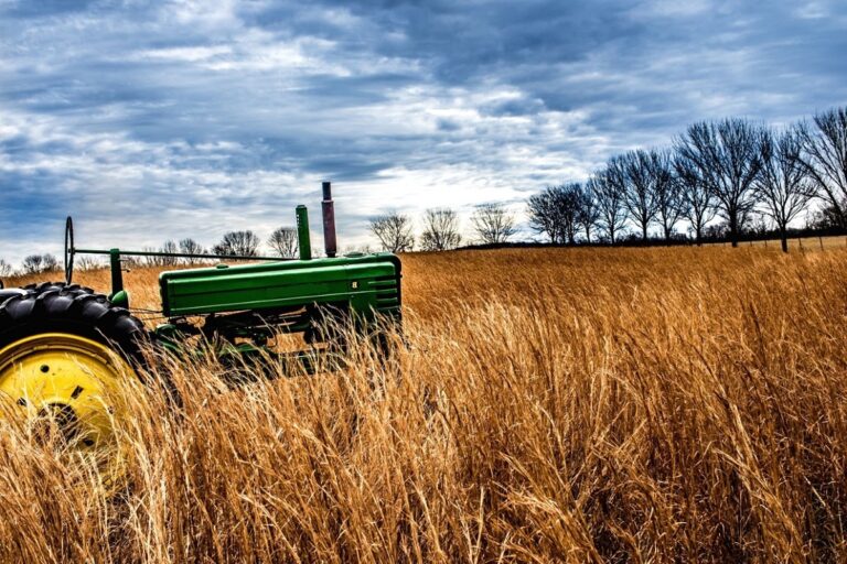 Caen producción y superficie de viñedos en el Véneto durante 2023 25 Caen produccion y superficie de vinedos en el Veneto durante