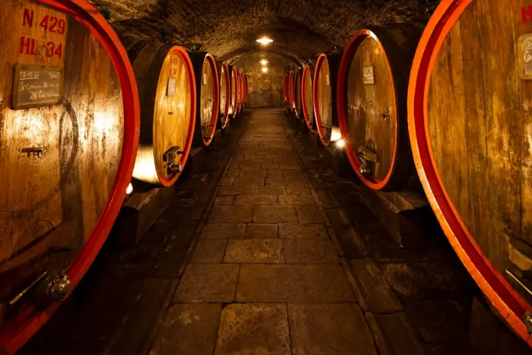 Castillo de Albola la joya vitivinicola de Radda in Chianti.webp