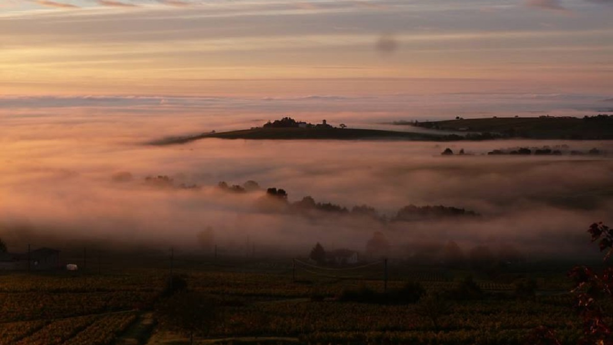 Château Thivin, reconocido por sus Beajolais de alta calidad y agricultura ecológica 1 Chateau Thivin reconocido por sus Beajolais de alta calidad y