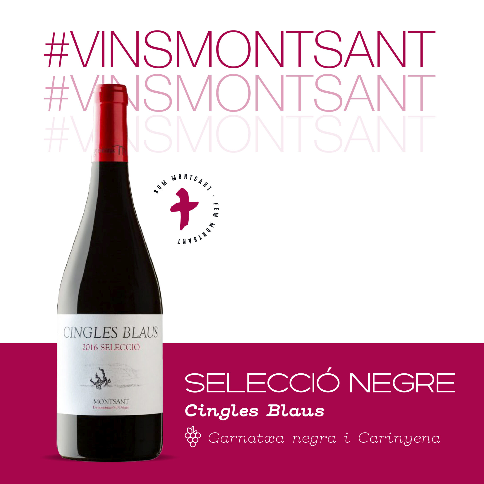 Cingles Blaus lanza Seleccio Negre un vino exclusivo de 4500 scaled