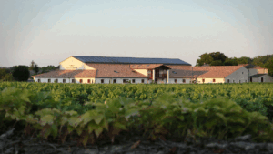 Clos Floridène: el pequeño viñedo español que se convirtió en gigante internacional