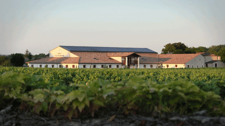 Clos Floridene el pequeno vinedo espanol que se convirtio en