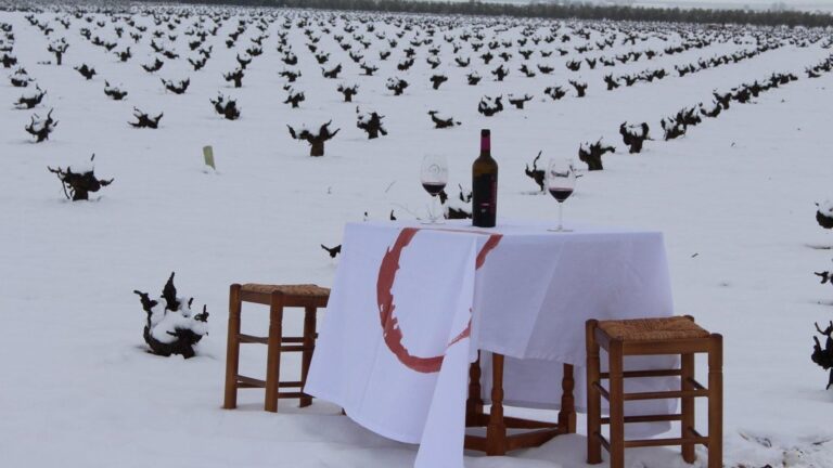 DO La Mancha ofrece 3000 euros en concurso de cancion