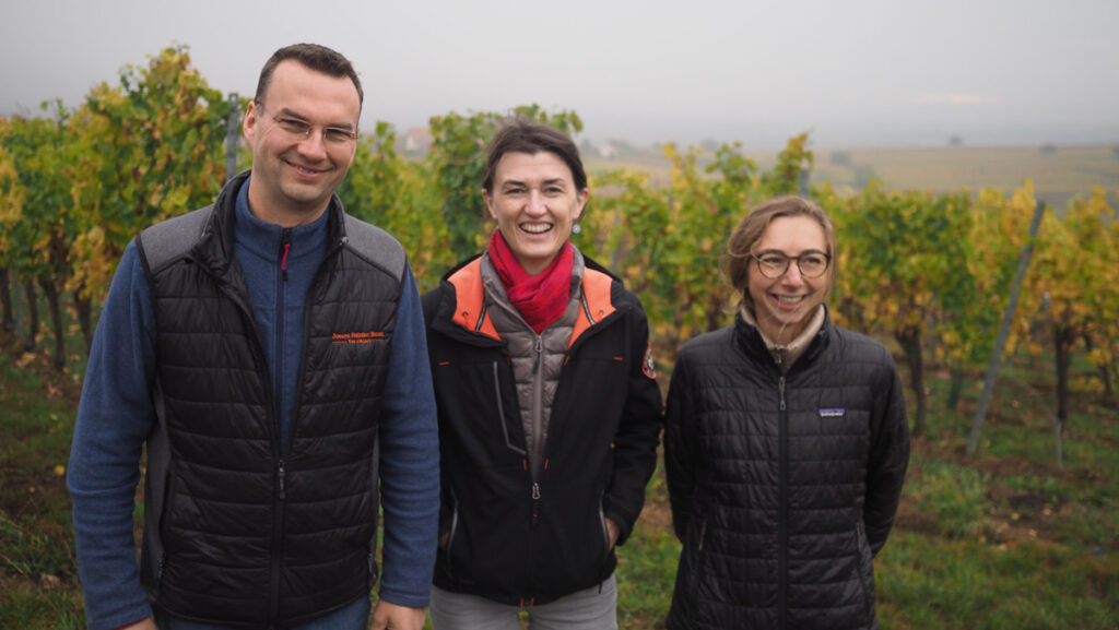 Degustacion de vinos destacados de Domaines Mochel Pfister y Loew