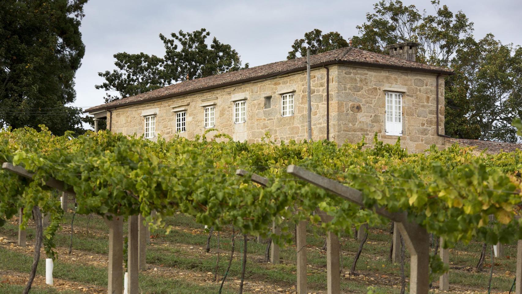 Descubre el nuevo albariño de Pazo San Mauro una de las bodegas más antiguas de Europa situada a orillas del Miño 1 Descubre el nuevo albarino de Pazo San Mauro una de