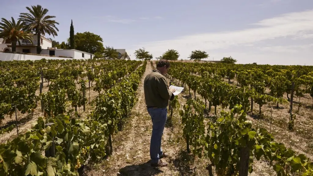 Vinos de Alberto Orte: variedades olvidadas y éxito internacional desde Jerez