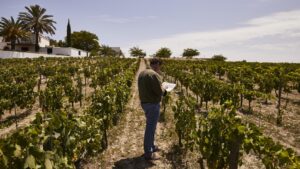 Descubre el vino tinto de alta calidad que puedes conseguir