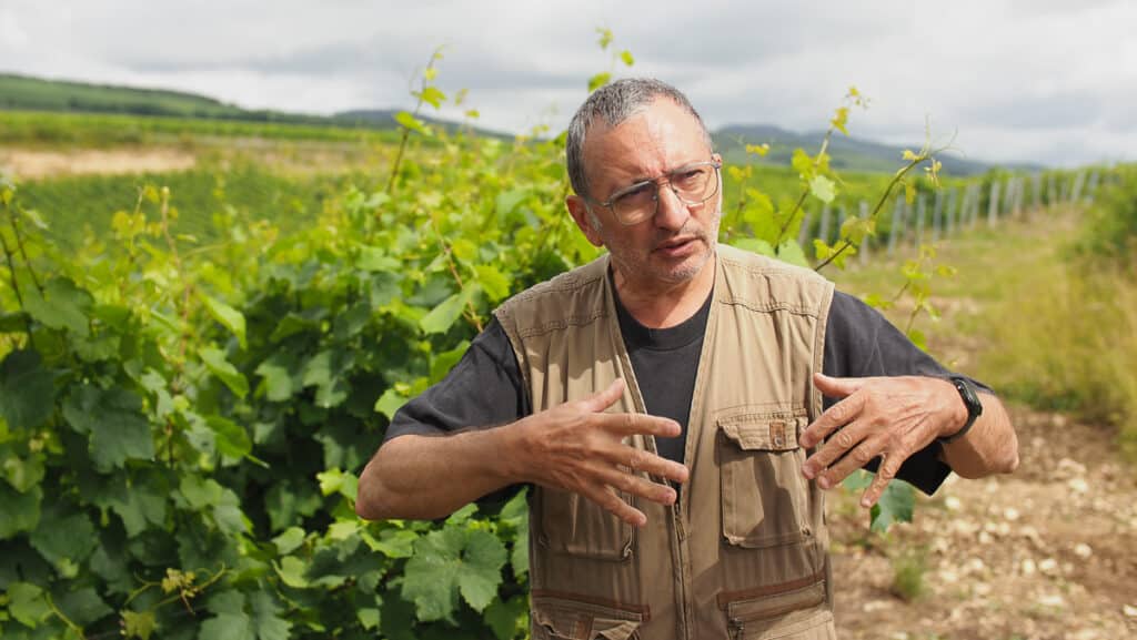 Descubriendo Domaine Fichet, impresionante viñedo francés con vinos excepcionales y sostenibles 1 Descubriendo Domaine Fichet impresionante vinedo frances con vinos excepcionales y