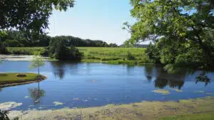 Dobbin, la nueva y prometedora bodega de calidad en la región Niagara de Canadá
