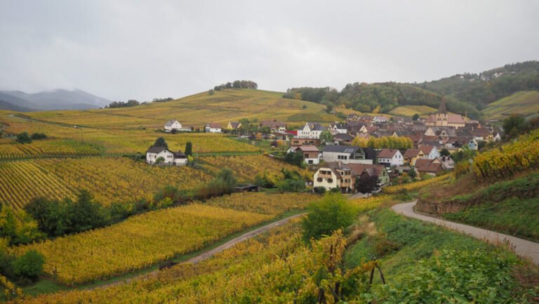 Domaine Justin Boxler: Tradición vinícola que se renueva en la Alsacia francesa 38 Domaine Justin Boxler Tradicion vinicola que se renueva en la