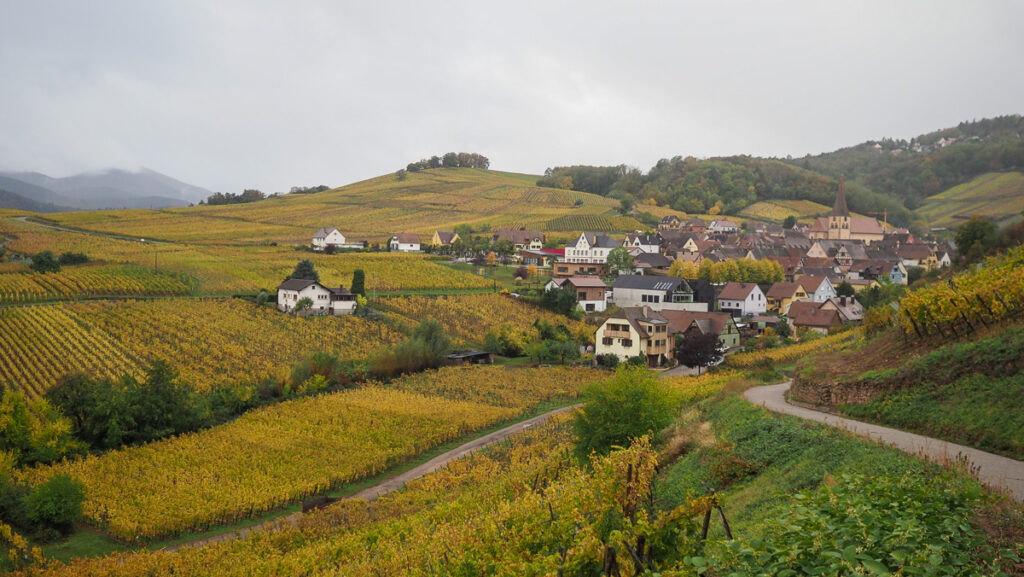 Domaine Justin Boxler: Tradición vinícola que se renueva en la Alsacia francesa 1 Domaine Justin Boxler Tradicion vinicola que se renueva en la