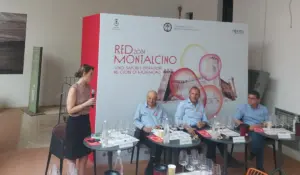 El Rosso di Montalcino avanza hacia la madurez sin dejar de ser versátil
