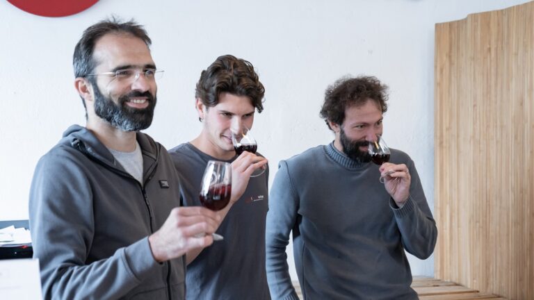 Equipo de iDealwine comparte sus vinos favoritos para disfrutar en verano 2023 52 Equipo de iDealwine comparte sus vinos favoritos para disfrutar en