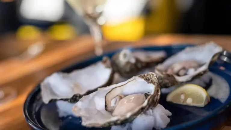Explora la emblemática calle Vigo disfruta de ostras frescas y vino blanco con un bar de tapas único