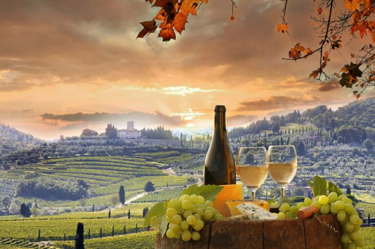 Export de vino italiano crece en 2024 pero con expectativas cautelosas según UIV 16 Export de vino italiano crece en 2024 pero con expectativas