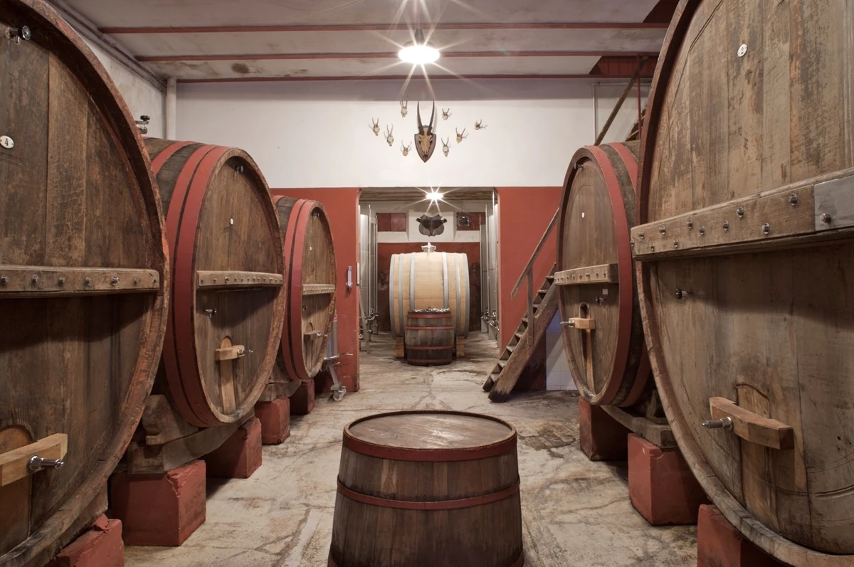 Familia Veronesi adquiere Villa Bucci icono del vino blanco italiano.webp