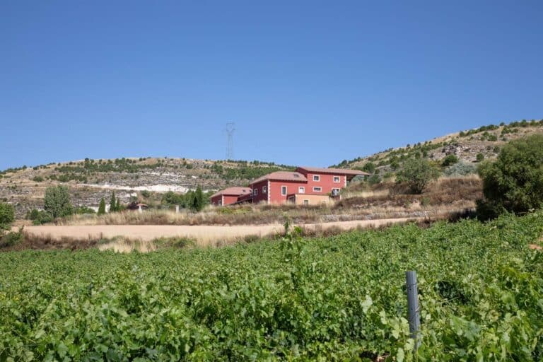 Grupo Valdecuevas amplia su presencia con la compra de Bodega