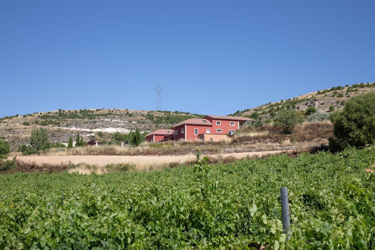 Grupo Valdecuevas amplía su presencia con la compra de Bodega Cantovera 1 Grupo Valdecuevas amplia su presencia con la compra de Bodega