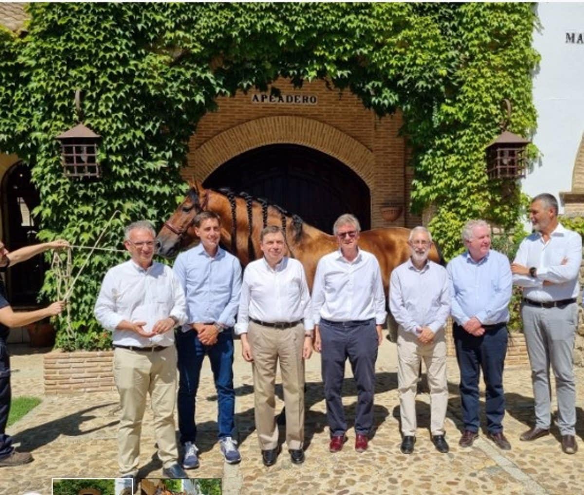 Planas destaca la innovacion en bodegas espanolas por progreso y