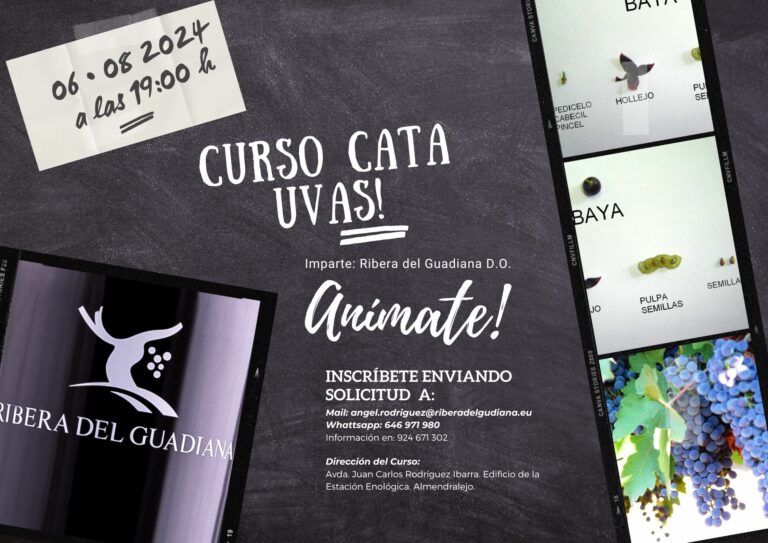 Ribera del Guadiana ofrece curso de cata de uva gratuito en agosto 14 Ribera del Guadiana ofrece curso de cata de uva gratuito