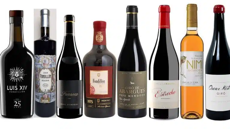 Vinos Alicante DOP establecen récords en la Cata del Grupo Peñín 2024