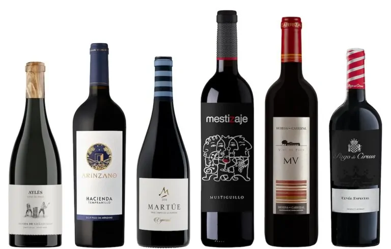 Seis vinos tintos excepcionales que reflejan la esencia de tierras