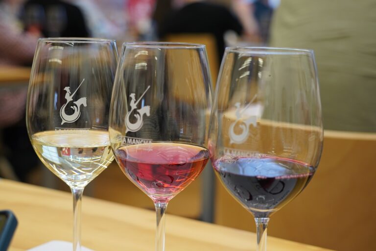 Los vinos DO La Mancha se acercaran al gran publico