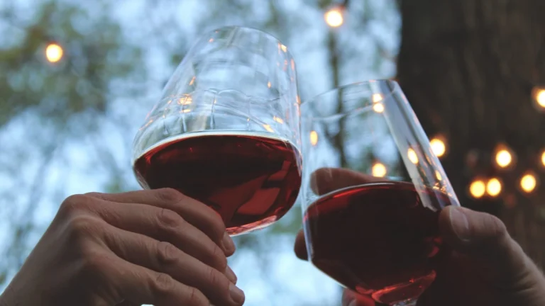 Vino 17