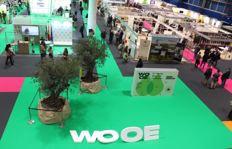 España se recupera y el mundo la sigue: la WOOE 2024, una cita clave para la industria del aceite de oliva 54 WOOE Vista general1