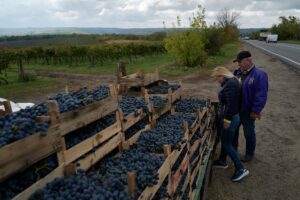 Moldavia: la joya oculta de los vinos que conquista paladares internacionales 7 3AWFBXJLVJE4RPPPKEYC22ZL7M