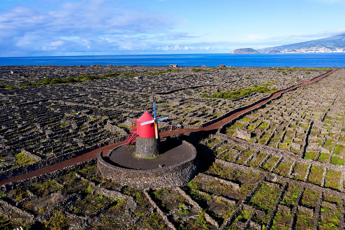 Islas y vinos: tres elixires que capturan la esencia de su tierra 1 5UKAMJBDJZDG5GOWT7P2XVVQCU