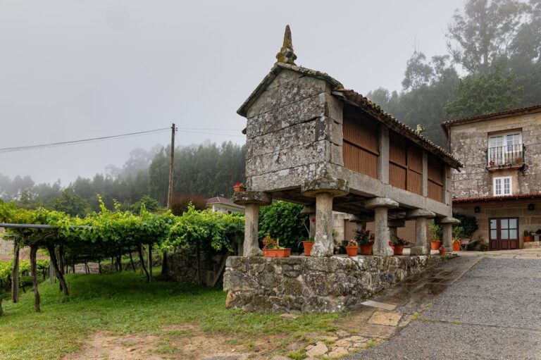 Tres albariños de Rías Baixas: el tiempo los transforma en auténticas joyas 54 6SFHC3YODRFHVL7FG25TOMKHSQ