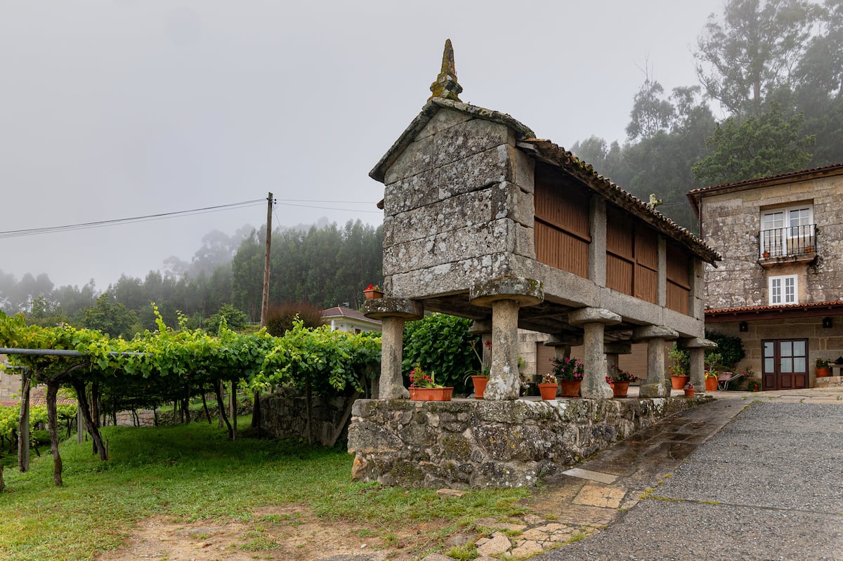 Tres albariños de Rías Baixas: el tiempo los transforma en auténticas joyas 1 6SFHC3YODRFHVL7FG25TOMKHSQ