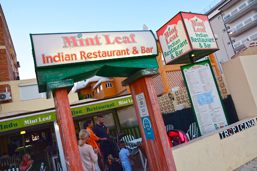 Mint Leaf: Sabor auténtico de India con vistas en Benalmádena 4 AF1QipM5ptwtaHnOP yy47c9fNTCjh n19a JaG99S8Z